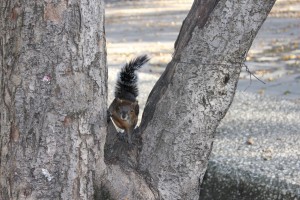 IMG_6069